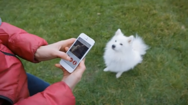 reBuzz-Pet-Remote-4