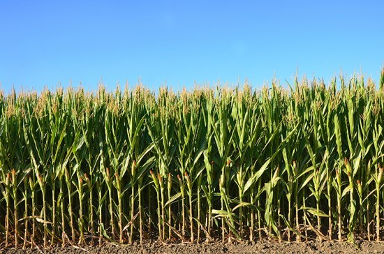 3032260-inline-3032260-slide-shutterstock133519676