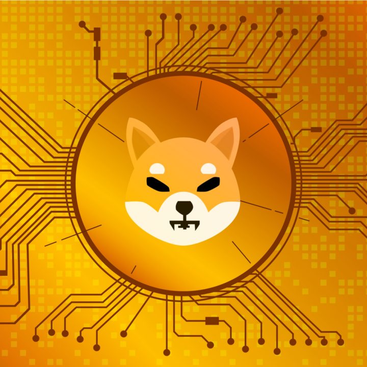 柴犬幣