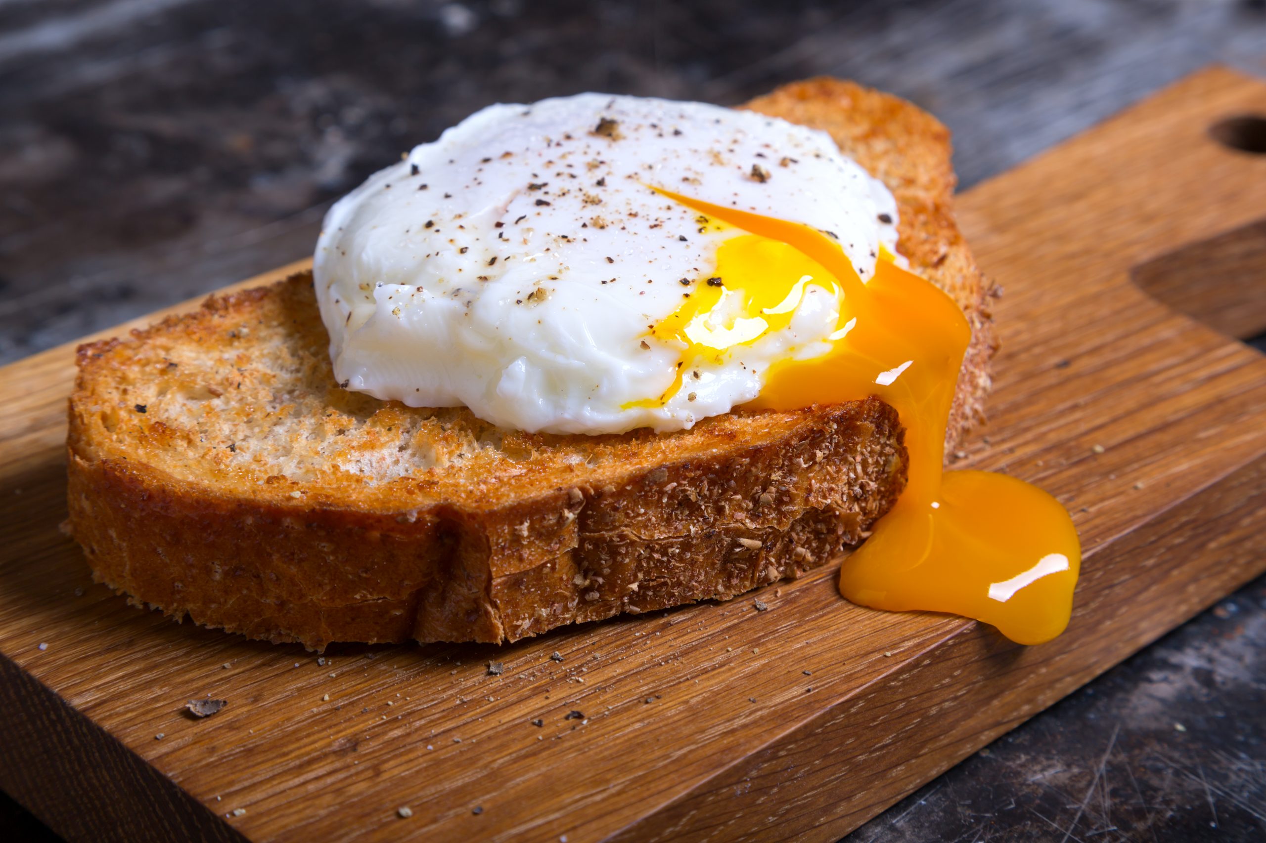 Alternative food,egg