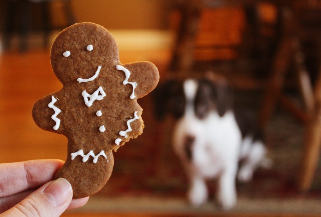 cookie with a bite
