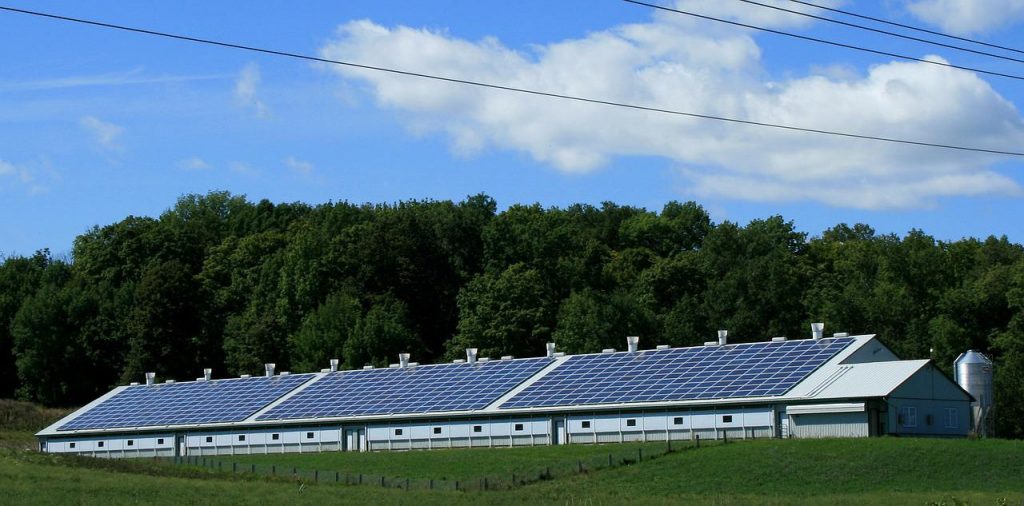 solar panels and cables