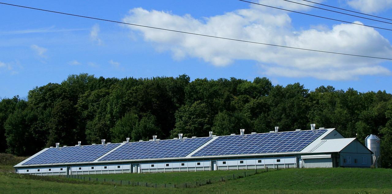 solar panels and cables