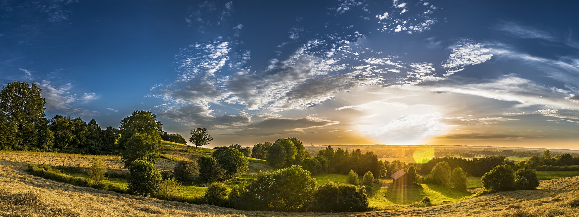 sunny landscape
