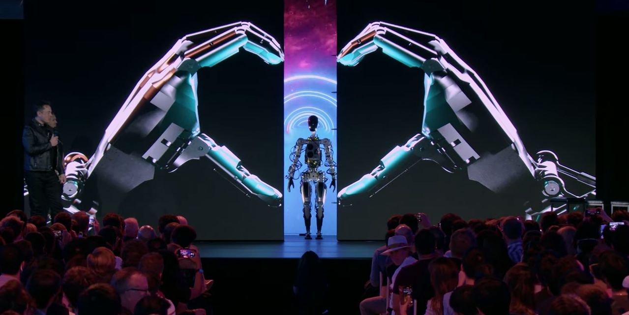 tesla bot