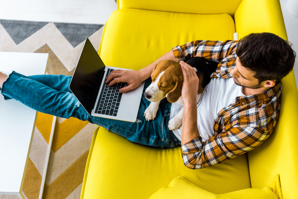 A male engaged in remoet work with his puppy on a yellow sofa.