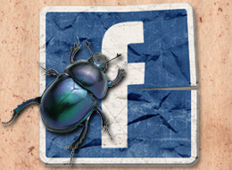 facebook-bug