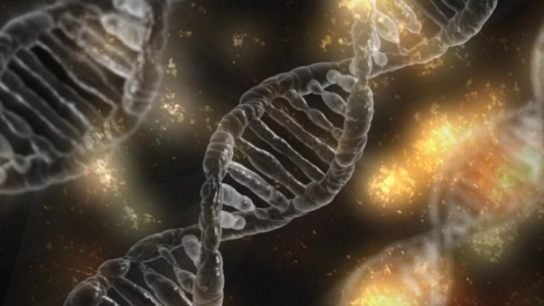 年齡,年紀,DNA