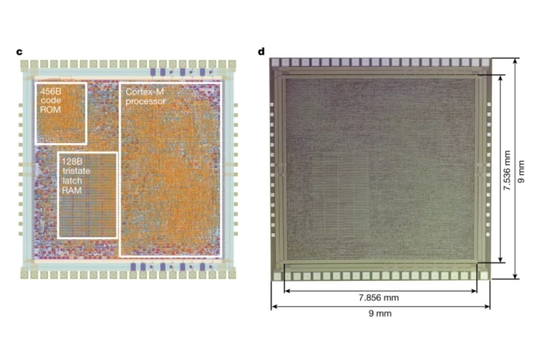 Arm plastic chip